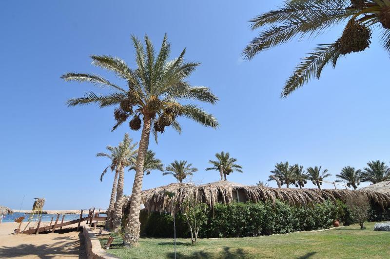 Sharm El Naga Resort And Diving Center Χουργκάντα Εξωτερικό φωτογραφία