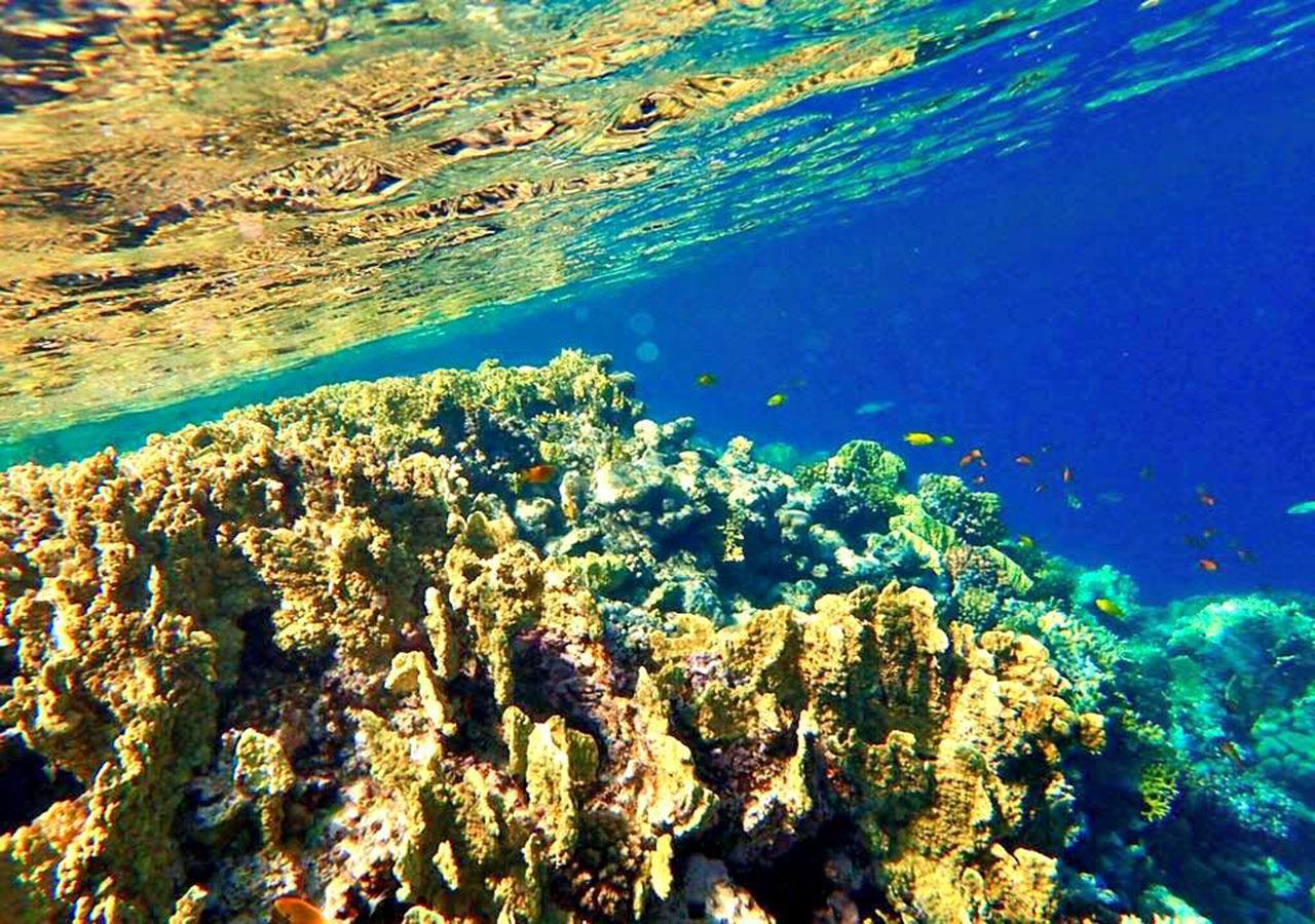 Sharm El Naga Resort And Diving Center Χουργκάντα Εξωτερικό φωτογραφία