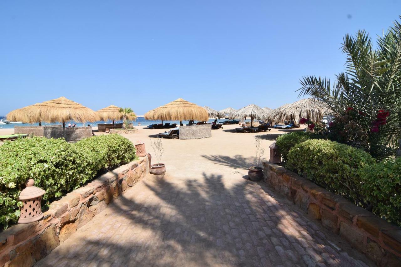 Sharm El Naga Resort And Diving Center Χουργκάντα Εξωτερικό φωτογραφία