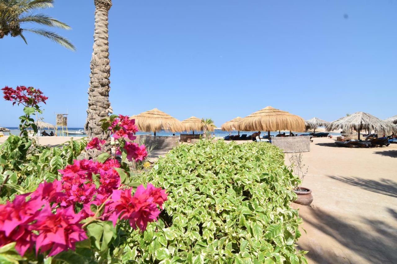 Sharm El Naga Resort And Diving Center Χουργκάντα Εξωτερικό φωτογραφία